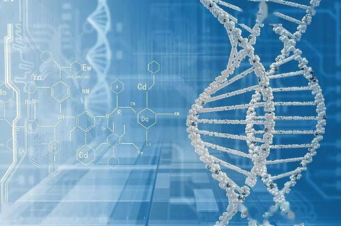 加快突破產(chǎn)業(yè)關(guān)鍵核心技術(shù)——江蘇省“十四五”科技創(chuàng)新規(guī)劃系列解讀之四 網(wǎng)絡(luò)科技領(lǐng)域的核心發(fā)展方向